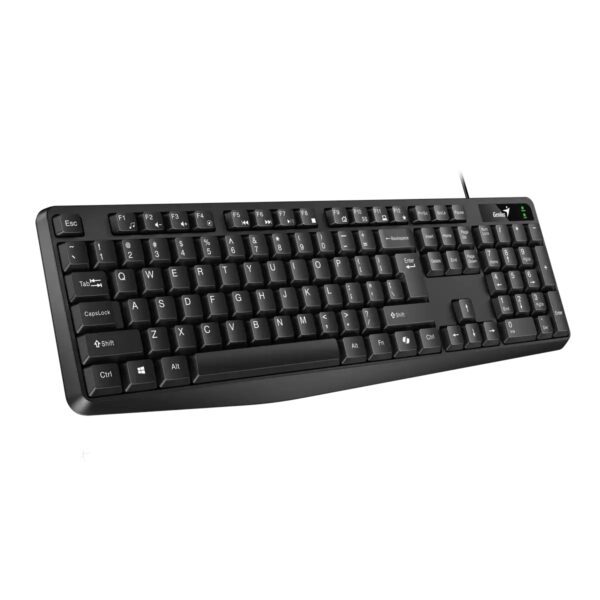 TECLADO GENIUS KB-117